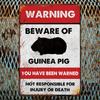 Signe d'avertissement en fer rustique Si bémol Attention au Cochon d'Inde x Pouce Art Mural Extérieur Humoristique Plaque Métallique Sans Cadre pour la Maison