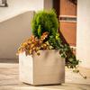 KADAX Flowerpot Flowerpot On Wheels Eco 40x40cm Light Brown