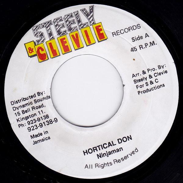 

7inch Record NINJAMAN - Hortical Don NONE Steely & Clevie Jamaica Reggae, Ska & Dub Used