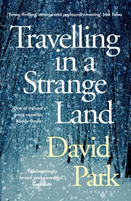 Kniha Travelling In a Strange Land : Winner of the Kerry Group Irish Novel of the Year