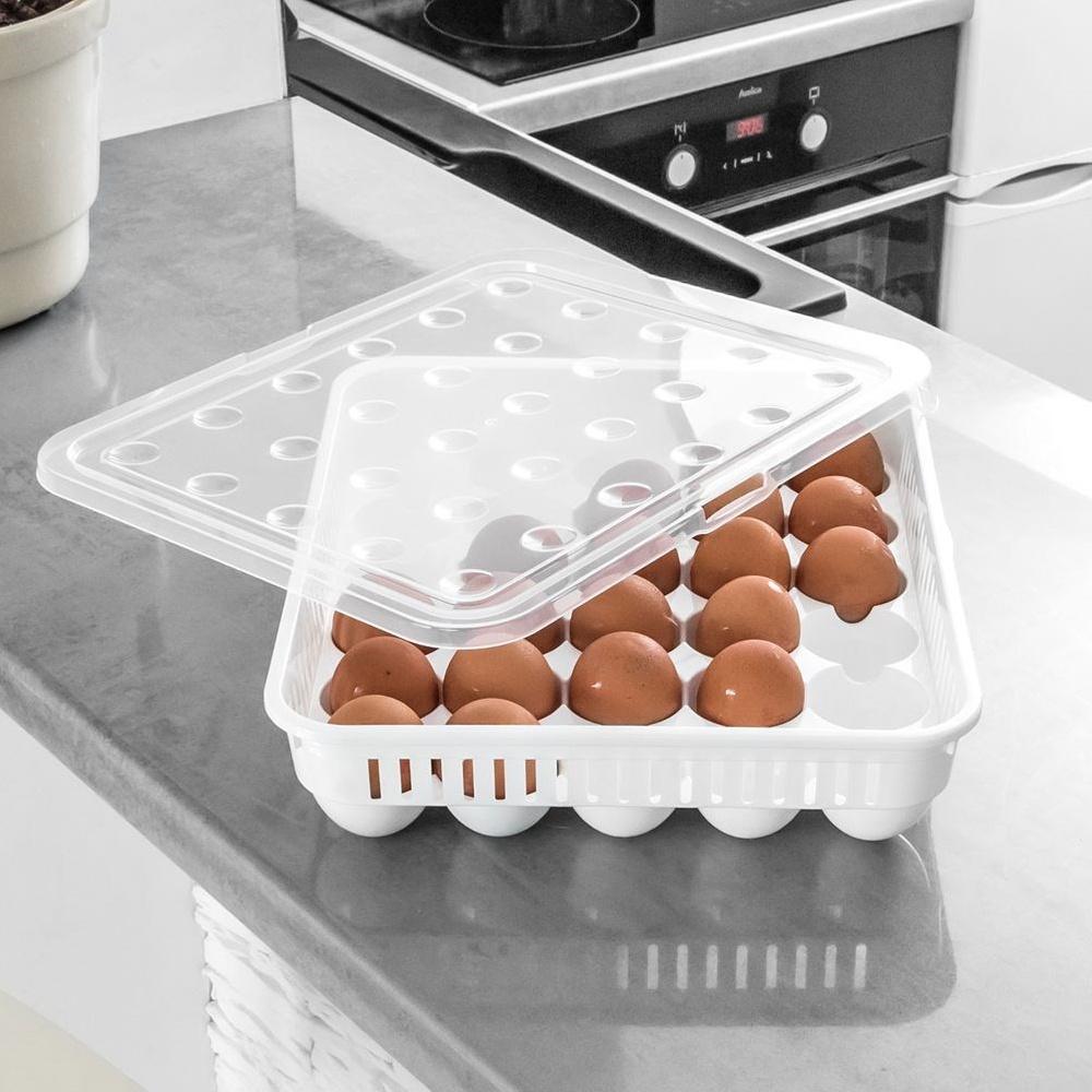 Egg container for 30 eggs