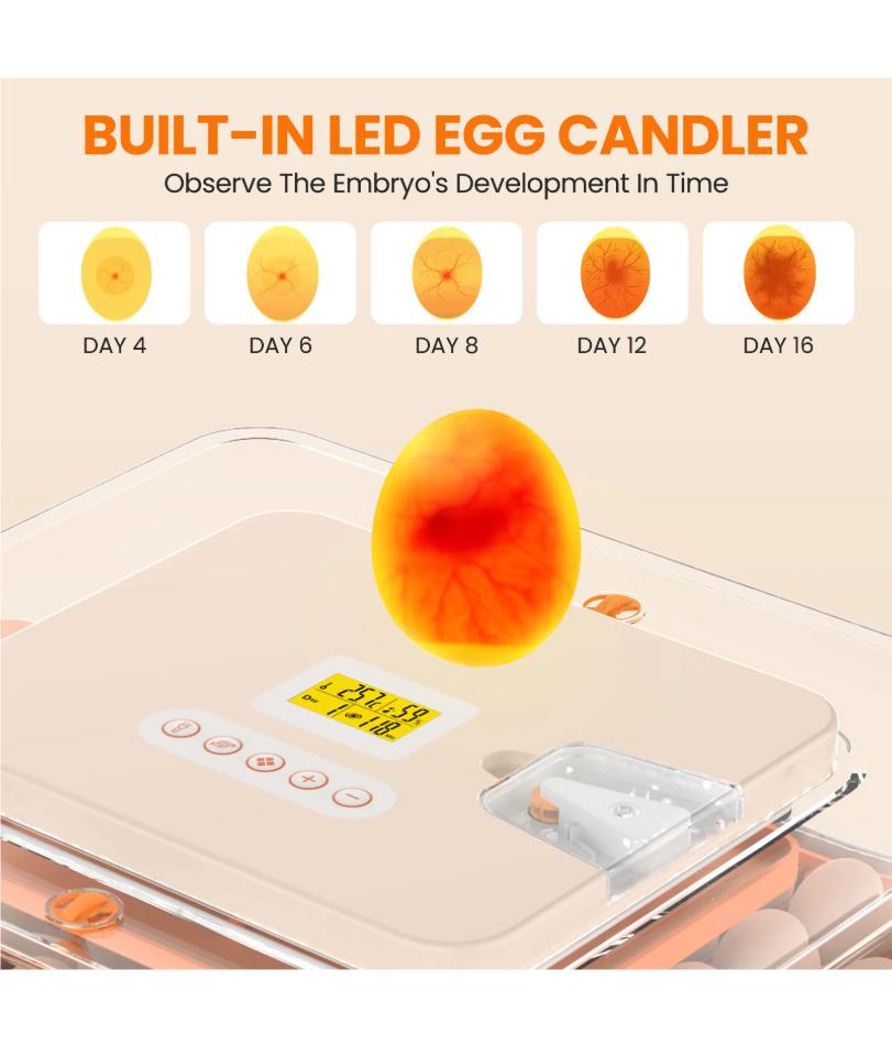 56 Eggs Fully Automatic Incubator Automatic Egg Turning Temperature Control Incubator for Poultry Egg with LED and Double Power