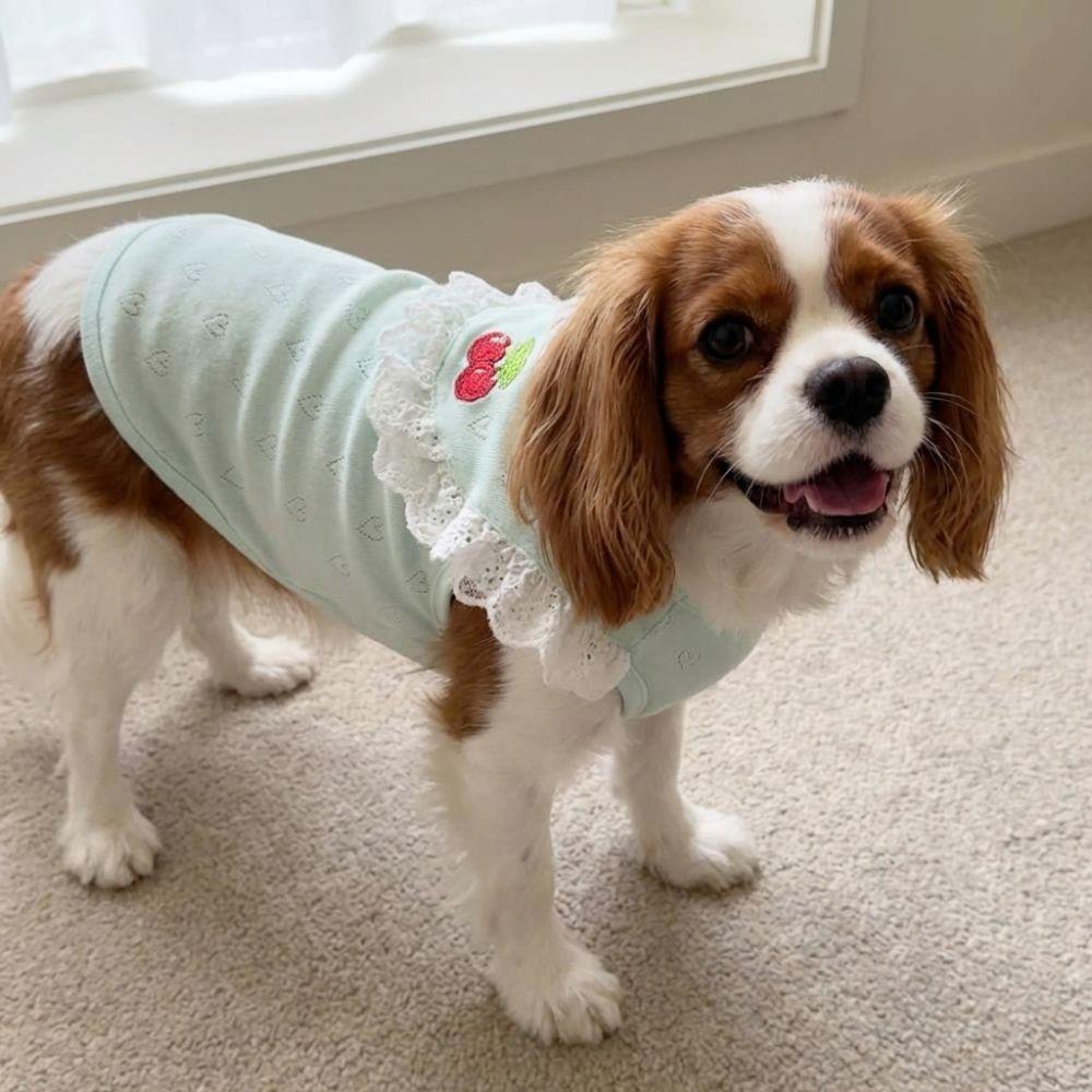 Ruffled Collar Dog Lace Vest Thin Soft Dog Short Sleeve Comfortable Fit Pet Outfits  For Small Dogs