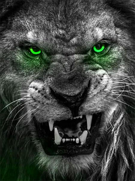 5d Diamant Malerei voller Bohrer Tiger Löwe Quadrat/Runde Stickerei Kreuzstich Tiere Mosaik Kristall Home Decor