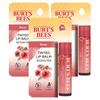 Burt's Bees Tinted Lip Balm Rose 4.25g 3 Pcs