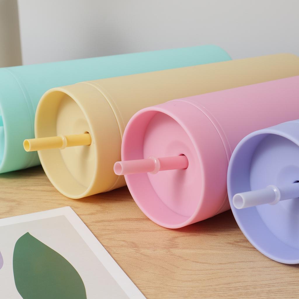 1pc Plastic Straw Cup Double-Layer Water Bottles Coffee Cup Reusable Hard Plastic Tumbler With Lid Drinkware Gift