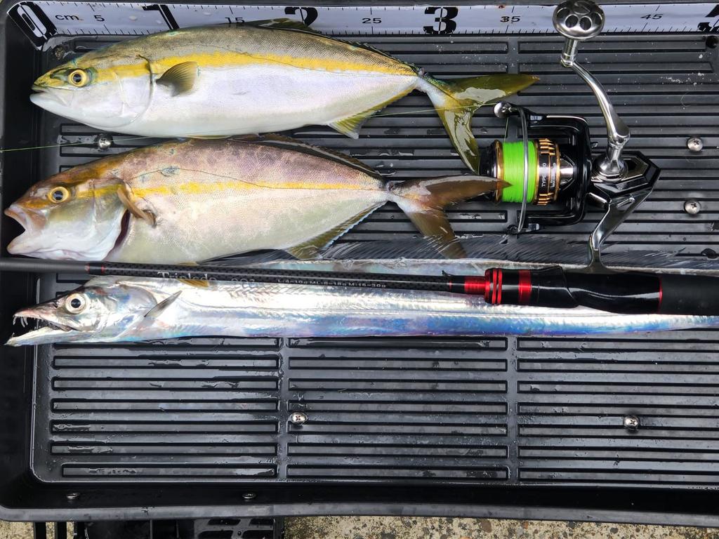 Orrudo Fishing Gear Lure Rod Revolution This One Covers 3 Types of Actions L ML Sea LSJ Qb300106a01n0 "Triple 2.7m" M, Egging, Chinning, Bass,