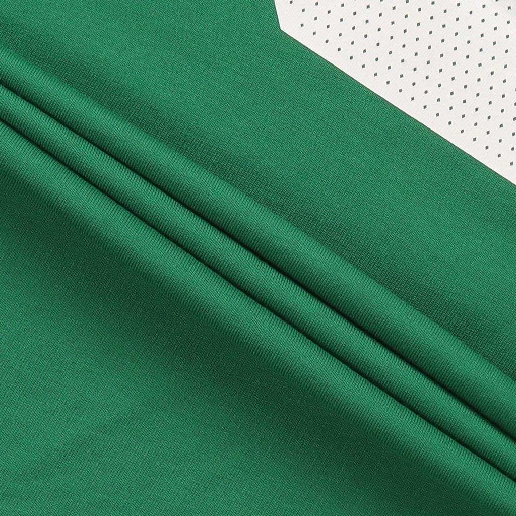 Nike NBA Tatum Boston Celtics Team limited Jersey Green Men's 870761-318