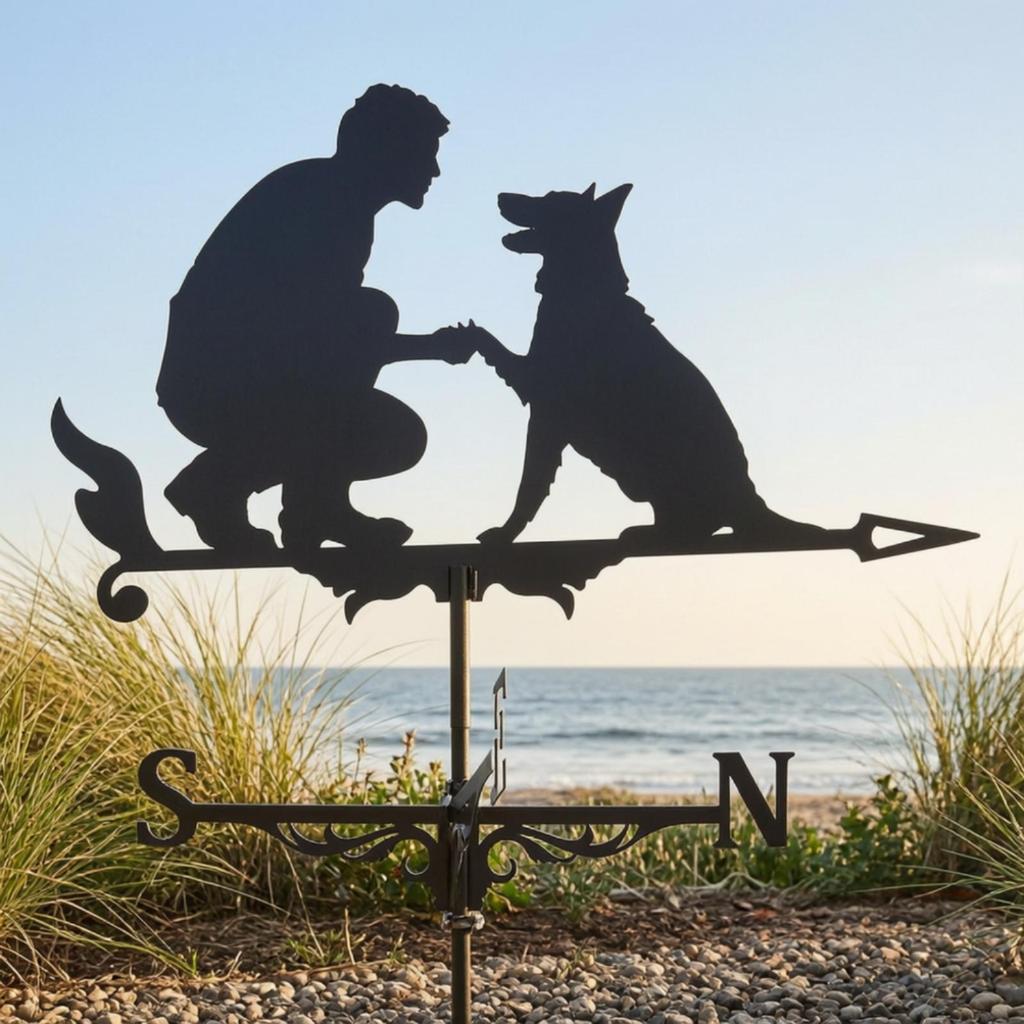Metal Weather Vane Spray Painted Finish Wind Direction Indicator European Style Garden for