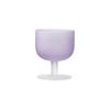 135ml Champagne Flutes Clear High Feet Wine Glass INS Style Gradient Color Goblet  Gift