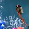 Ocean Diving Frogman Diver Action Figure Miniature Sea Animal Model Humpback Whale Shark Aquarium Decor Fish Tank
