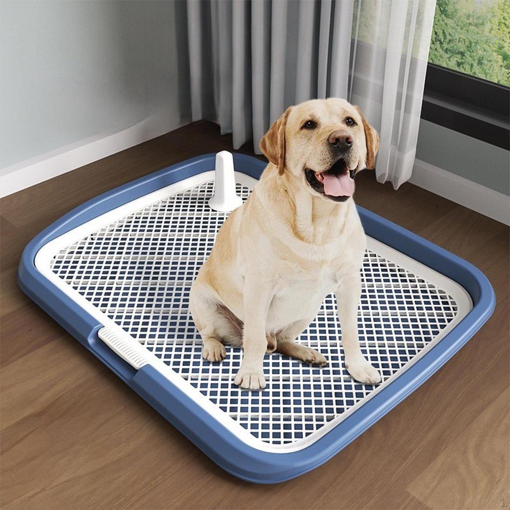 Dog Potty Training Toilet Portable Puppy Pad Holder for Dormitory Home Bunny