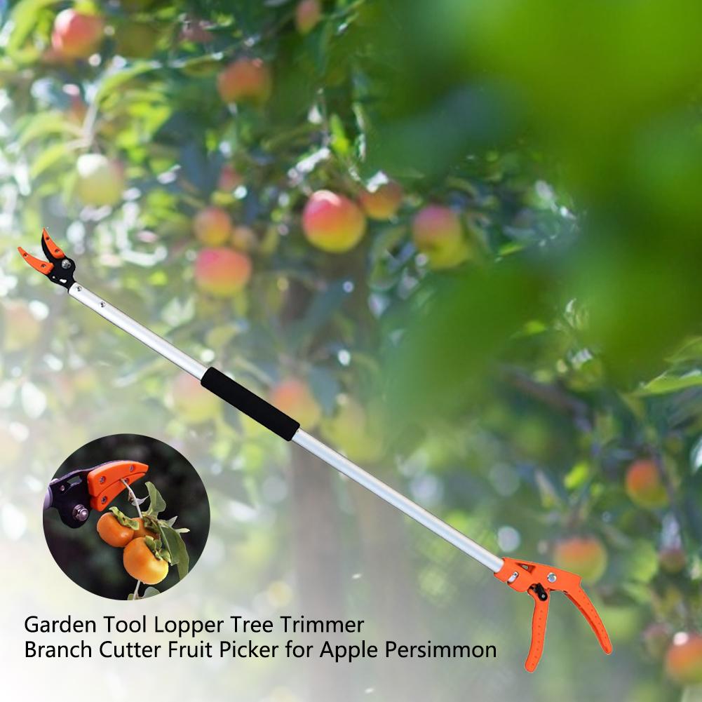 1M Fruit Picker Extra Long Fruit Picking Shears Pruning And Hold Bypass Pruner Max Cutting Grape Persimmon Picker Garden tools