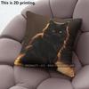 Black Fluffy Cat Throw Pillow Covers Pattern Cushion Cover Suitable For Sofa Bedroom Car Pillow Cover