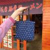 12 Small Fresh and Cute Small Cloth Bags Women's Wrinkled Cloth Printed Handbags Bento Bags
