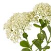 Hill Interiors Sedum Spray Artificial Flower