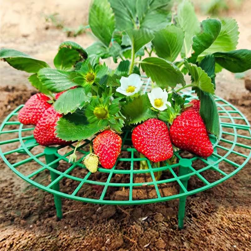 Plastic Strawberry Supports Tray Gardening Balcony Planting Strawberry Racks Holder Anti-Rot Plant Support Frame Accessories
