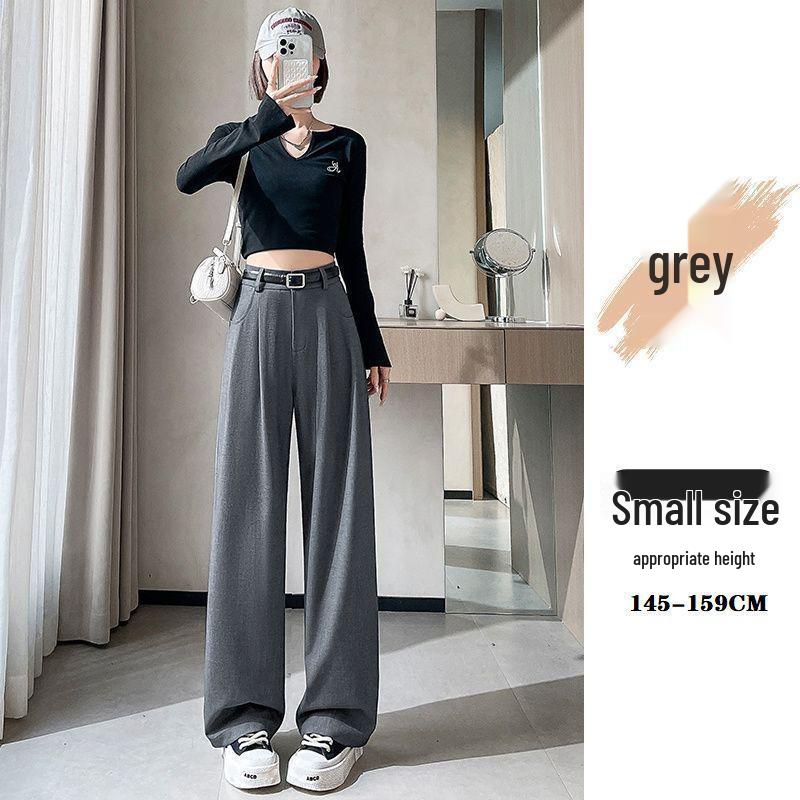 Women's High-Waist Slimming Ankle-Length Wide-Leg Suit Pants, Small, Apricot, Straight Leg, Spring Edition.
