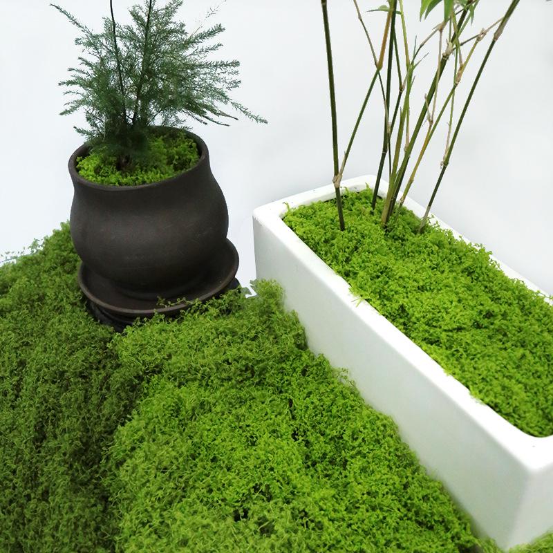 Artificial Moss Silk Grass Lawn for Landscaping and Decoration