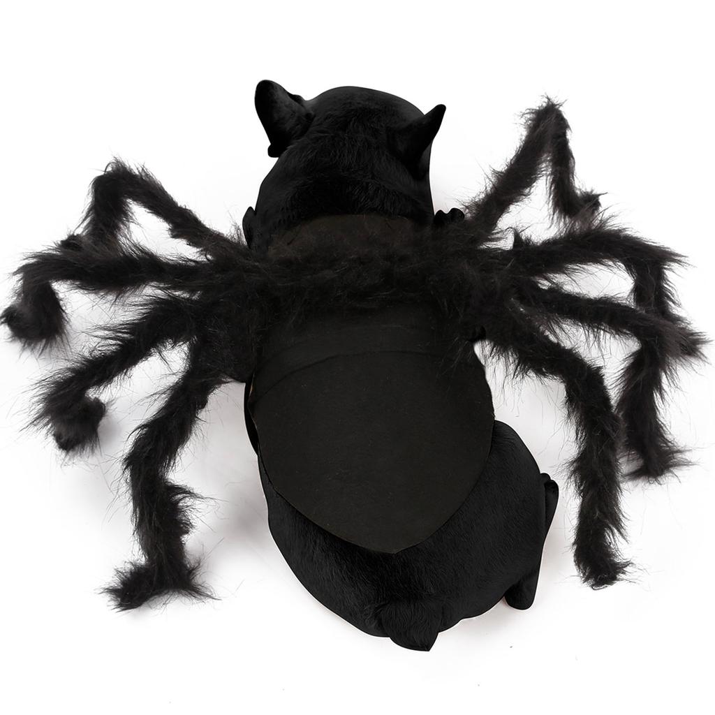 Spider Pet Costume Adorable Halloween Outfit for Small Dogs Cats Polyester Black Size S M Quick Fastening Tape Party Photograph Daily Wear