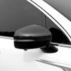For Kia Sorento 2025 2025 Car Rearview Side Mirror Cover Wing Cap Exterior Door Rear View Case Trim Sticker Carbon Fiber Silver