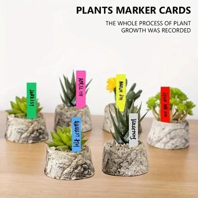 100pcs Garden Plant Labels, Fleshy Labels, Waterproof Cards for Agricultural Flowers and Gardening Plastic DIY Label Tool