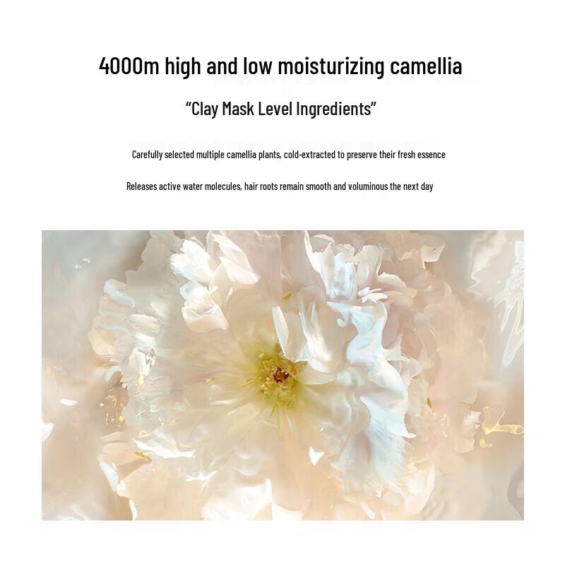 Obeis Camellia Oil Smoothing Moisturizing Shampoo