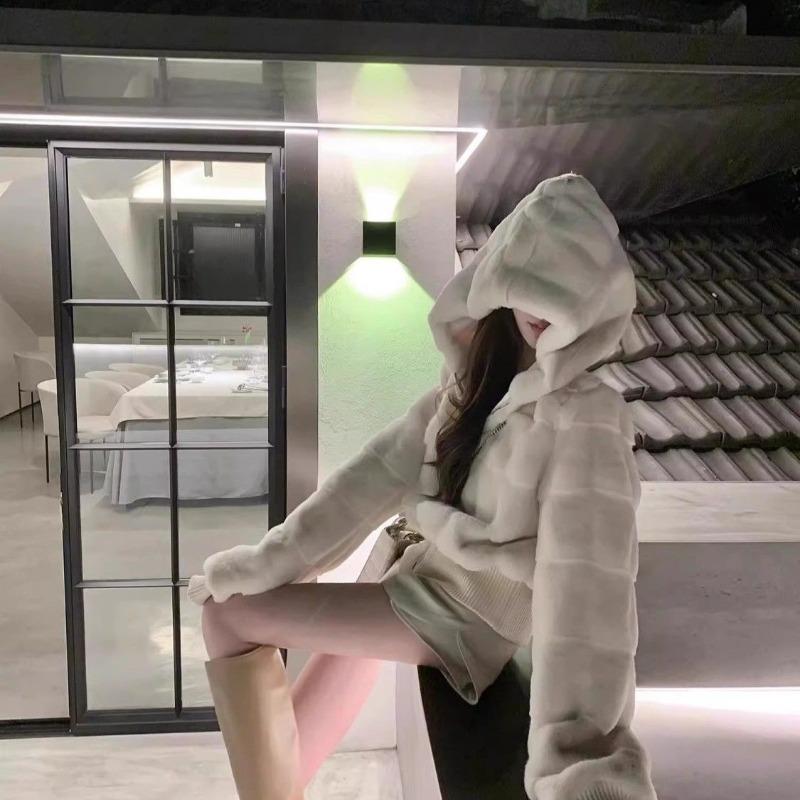 Imitation Mink Fur Women's Short Winter New Hooded Thickened Small Plush Coat Coat