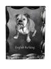 Bulldog, English Bulldog – Crystal with a Picture of a Dog, Glass Statuette with a Picture |