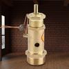 1Pcs G1 2 Blow Off Valve Spring type Safety Valve For Steam Generators(3KG)