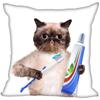 Bedroom Home Office Decor Pillowcase Square  Funny Cat Animal