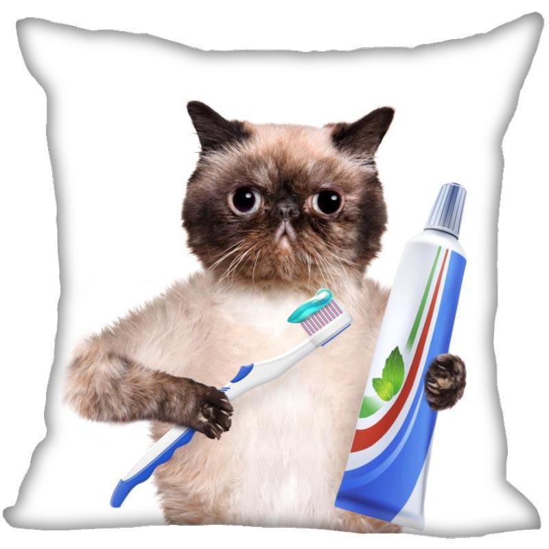 Bedroom Home Office Decor Pillowcase Square  Funny Cat Animal