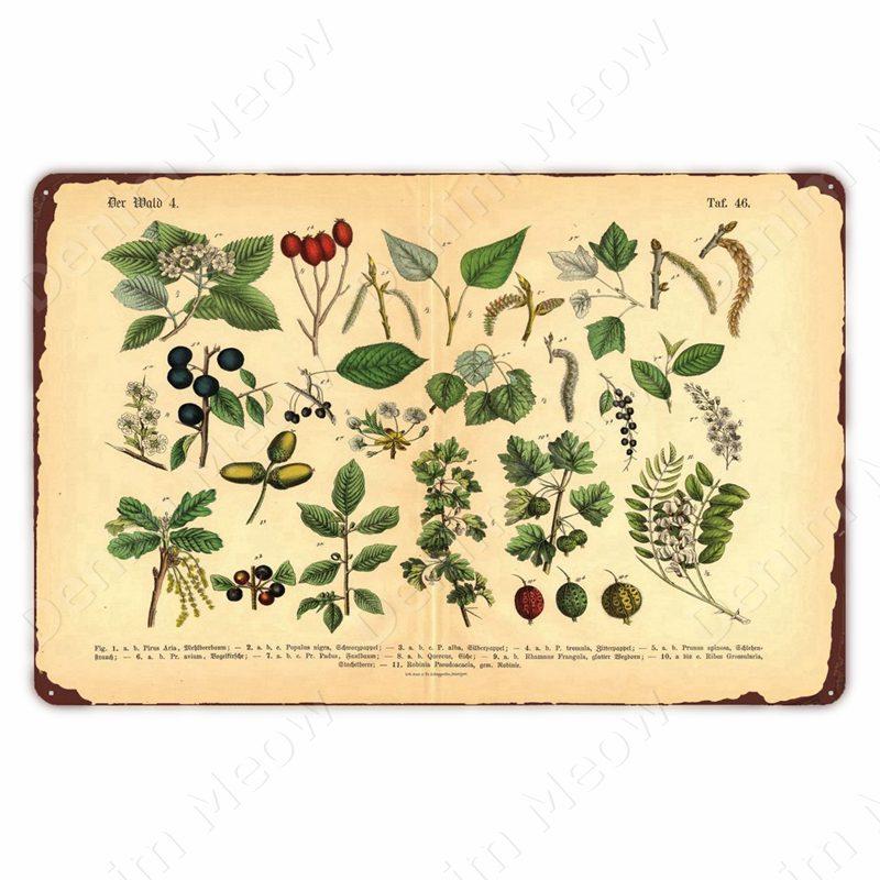VintageWildFlowersMetalSign Vintage Metal Tin Sign - Wild Flowers Plant Herbarium Art Plaque, Kitchen/Home Wall Decor