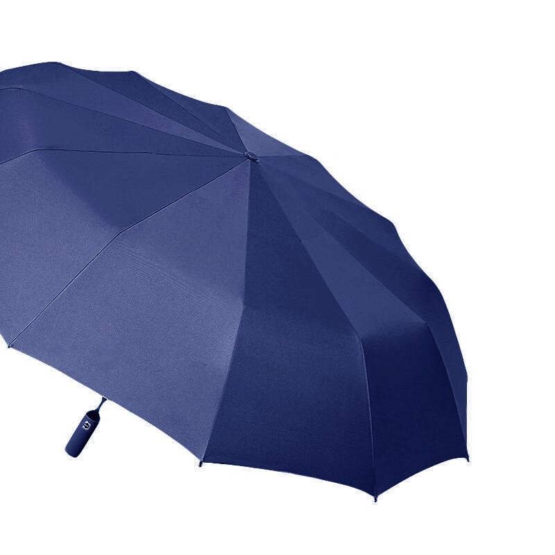 Tri-polar 24-Rib Automatic All-Weather Umbrella
