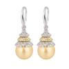 Champagne Gold Pearl Earrings Korean Edition Premium Pearl Earrings Female Long Temperament Celebrity Pearl Earrings