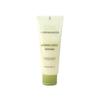 BRING GREEN Artemisia Calming EX Water Cream 100mL (3.38 Fl. Oz.)