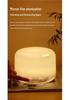 500ml Large Mist Humidifier & Essential Oil Diffuser for Home