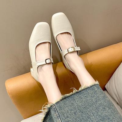 Thick Heel Mary Jane Shoes 2025 Spring and Autumn New Temperament Elegant with Skirt Square Head Light Mouth Shoes