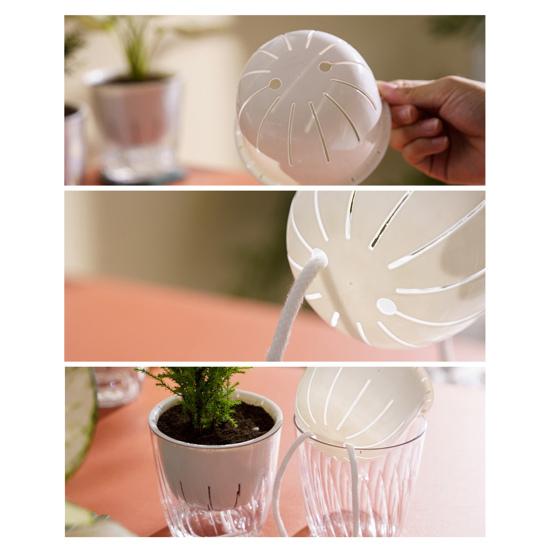 1/2 Stück Blumentopf Wasser Automatisch Selbstbewässernd Hydroponischer Einfüllstutzen mit Entwässerungslöchern Blumentopf Transparente Basis Pflanztopf