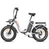 FAFREES F20 Max Elektrofahrrad 500W 48V 30Ah Fat Tire E-Bike 110-150km Reichweite Tiefeinstieg Faltbares E-Bike für Erwachsene Urban/Off-Road Pendeln