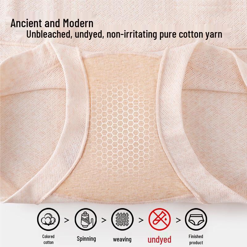 GUJIN Women's High-Waist Cotton Briefs (3-Pack)