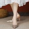 Fashion Women's Thin Heel Shoes Fall New Pointy Head Shallow Mouth Sequin A Slip-on Temperament High Heels  Pumps
