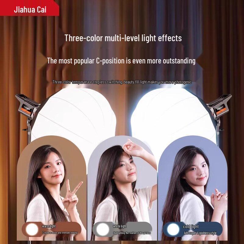 LED Beauty Sphere Fill Light for Streamers and Photographers