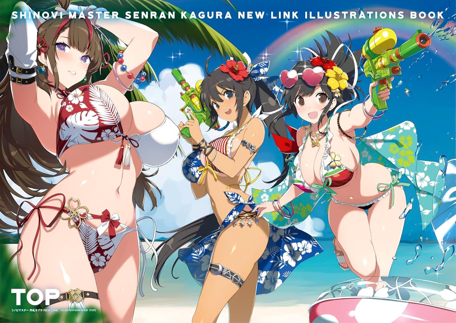 Shinobi Master Senran Kagura Link Illustration Book TOP JAPAN FS
