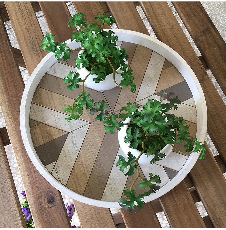 Huashe Red Air Succulent: Creative Faux Green Plant for Home Décor