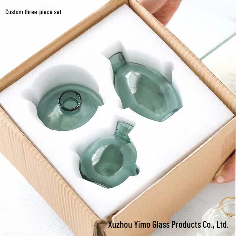 Lux Mini Colored Glass Vase Set for Hydroponic Flowers - Transparent Decorative Ornaments for Living Room