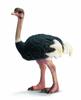 Schleich Wildlife Ostrich Figure 14325
