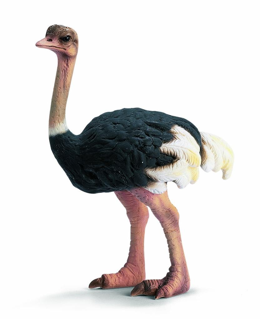 Schleich Wildlife Ostrich Figure 14325