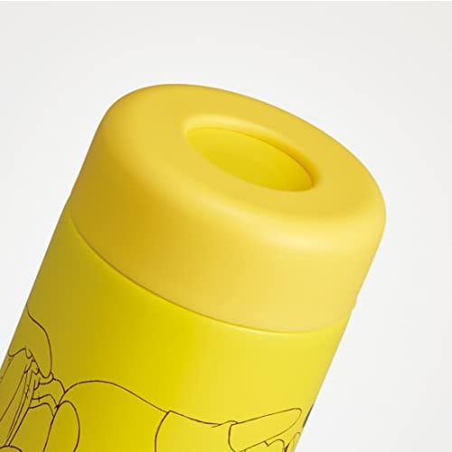 Skater Lightweight Water Bottle Stainless Steel Single Layer Mug Bottle for Room Temperature 500ml Healthy Drink Winnie the Pooh Relax SSSC5D-A