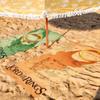 Hot Movie The L-Lord Of The R-rings Towel Towels For Beaches Yoga Studios Gyms Hot Springs Swimming Pools And Picnics